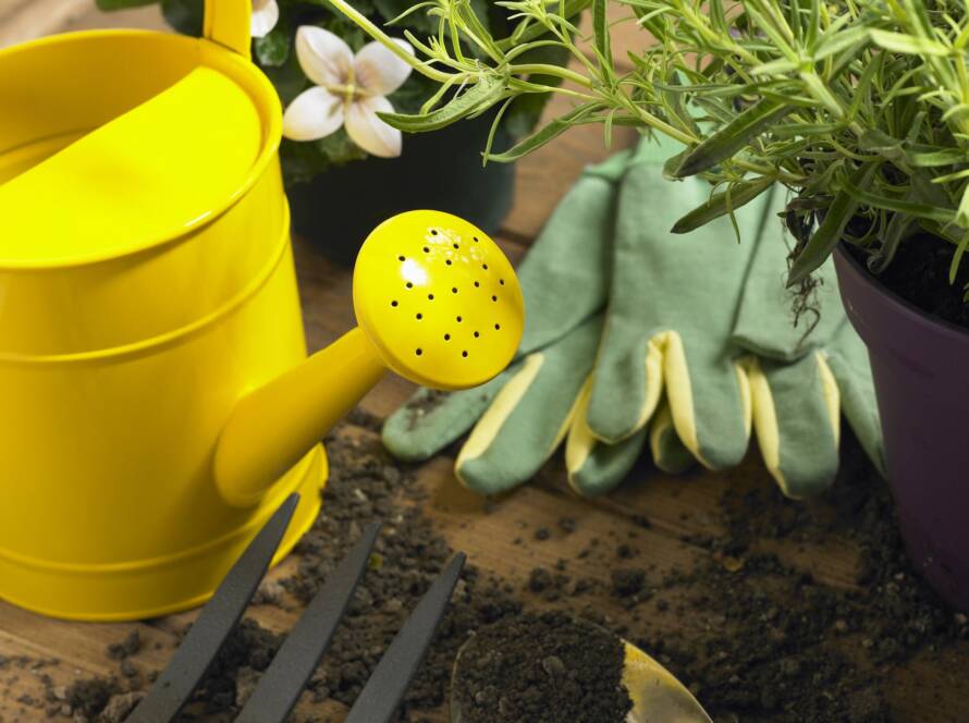 Professional Residential Gardening Solutions by Scaptrix Landscapes